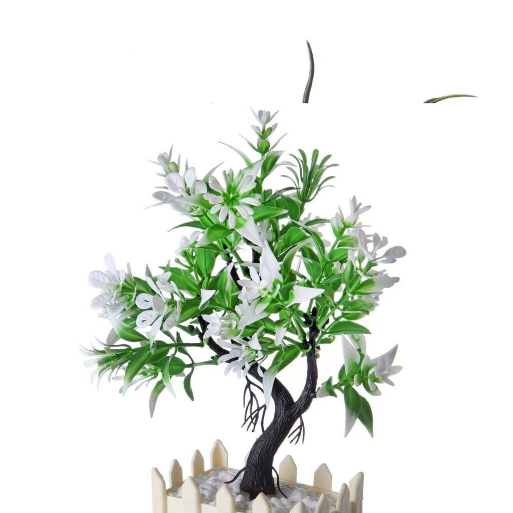 GLN BONSAI YONCA *30