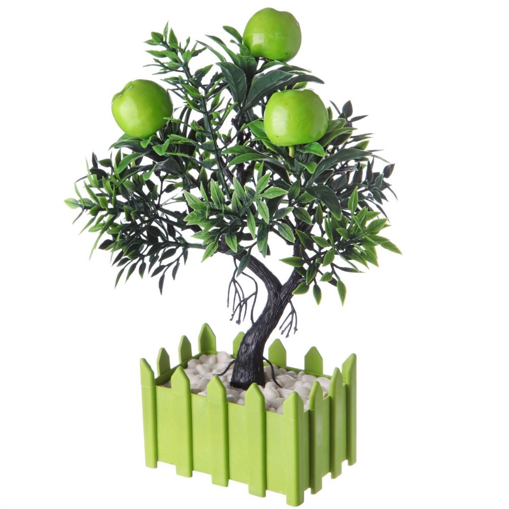 GLN BONSAI MEYVE *30