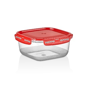 ÇI·FT RENK KARE KAPAKLI KI·LI·TLI· SAKLAMA KABI 2,