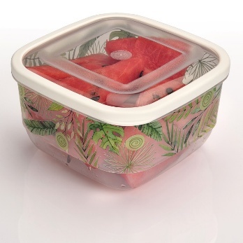 TRENDY SAKLAMA KABI KARE - SEFFAF GÖVDE - ELASTOME